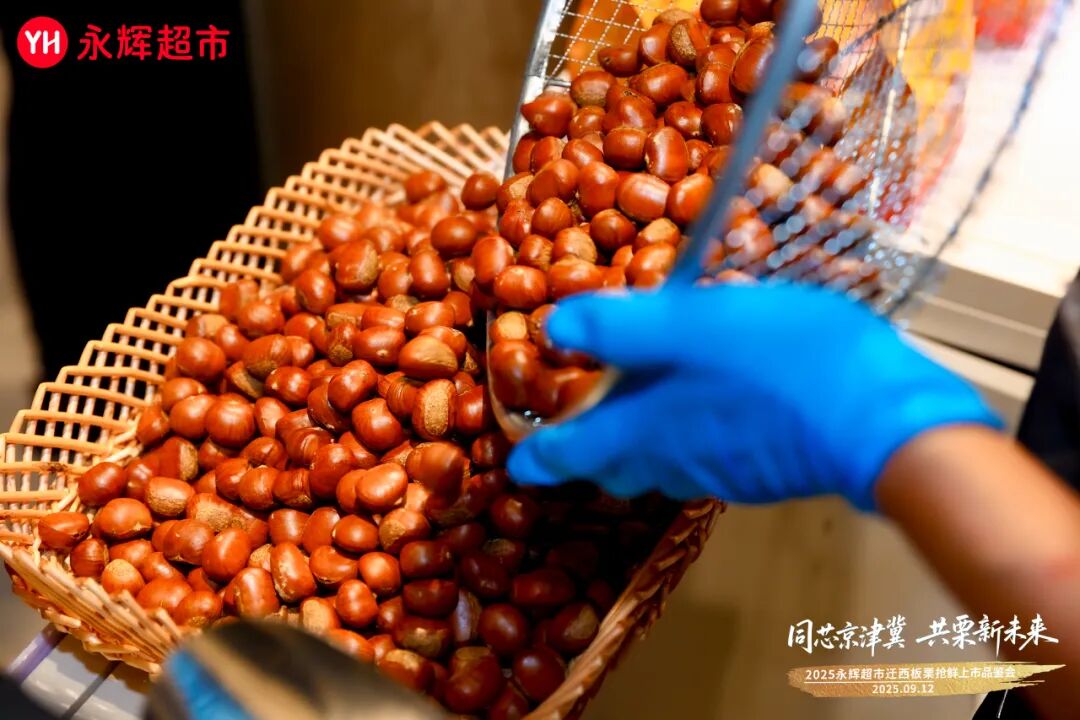 尊龙凯时(中国区)人生就是搏!