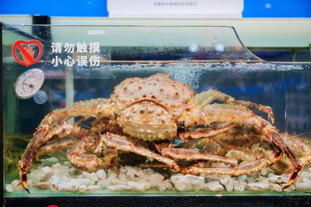 2029032096681168896 尊龙凯时(中国区)人生就是搏!