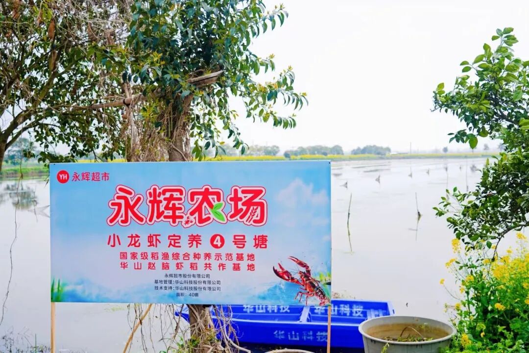 尊龙凯时(中国区)人生就是搏!
