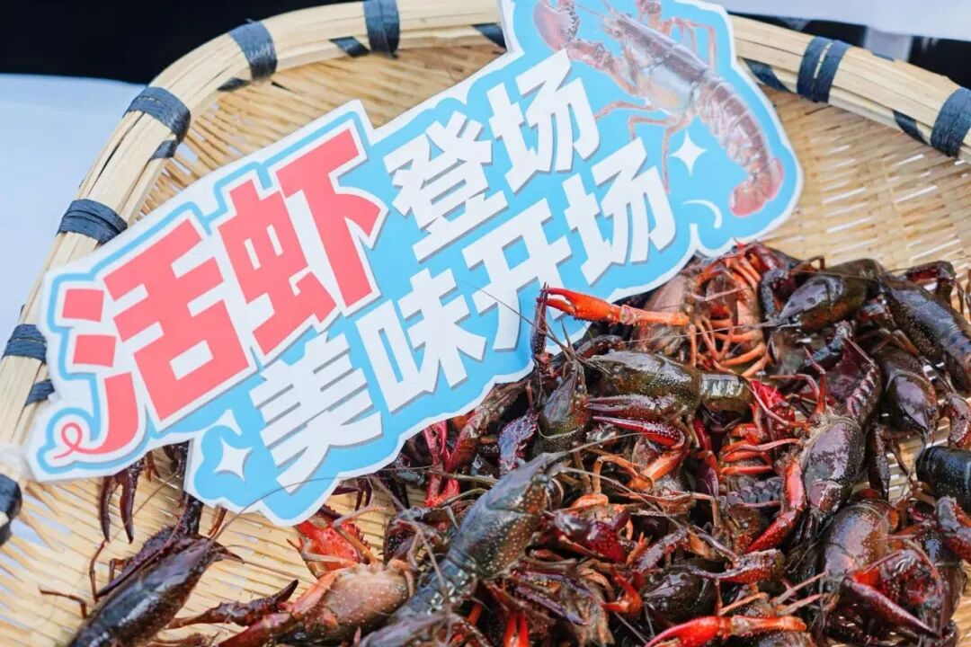 尊龙凯时(中国区)人生就是搏!