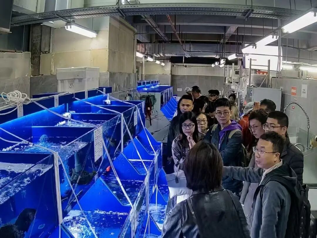 2052640363697147904 尊龙凯时(中国区)人生就是搏!