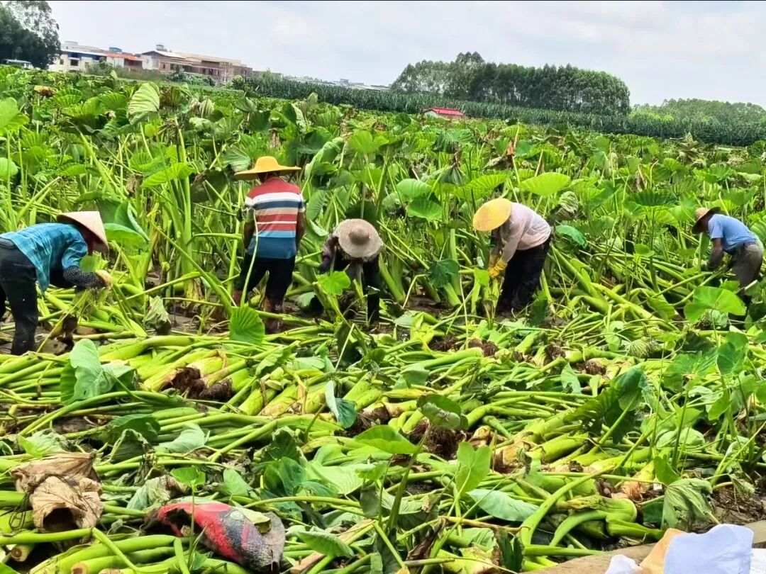 2082648907294806016 尊龙凯时(中国区)人生就是搏!