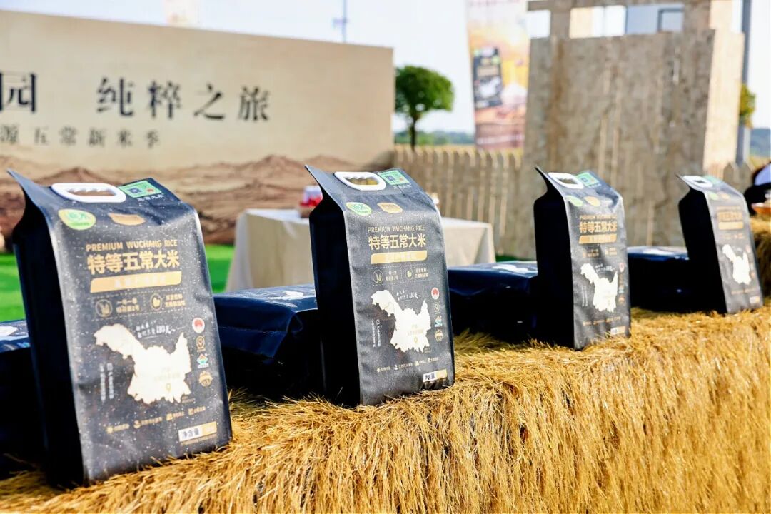 尊龙凯时(中国区)人生就是搏!