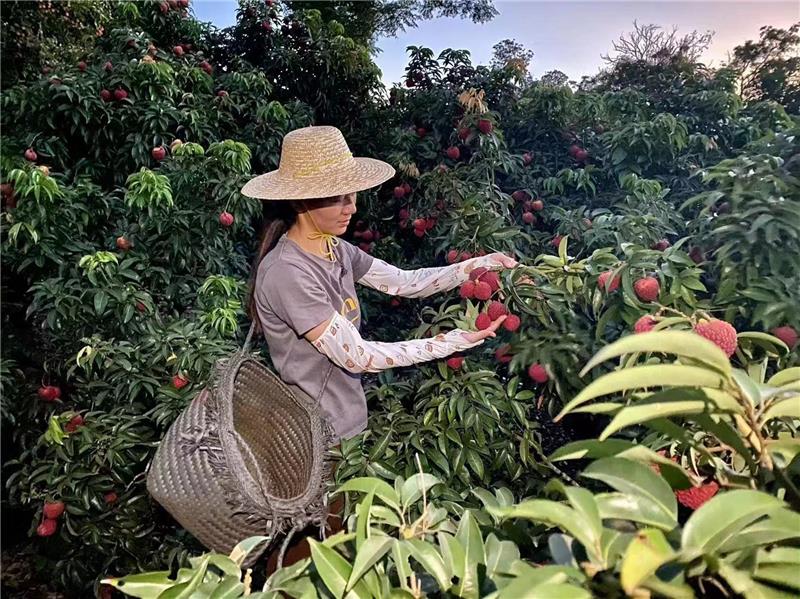 尊龙凯时(中国区)人生就是搏!